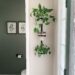 vertical plant wall made from a black 3 ring plant pot holder hanging on wall