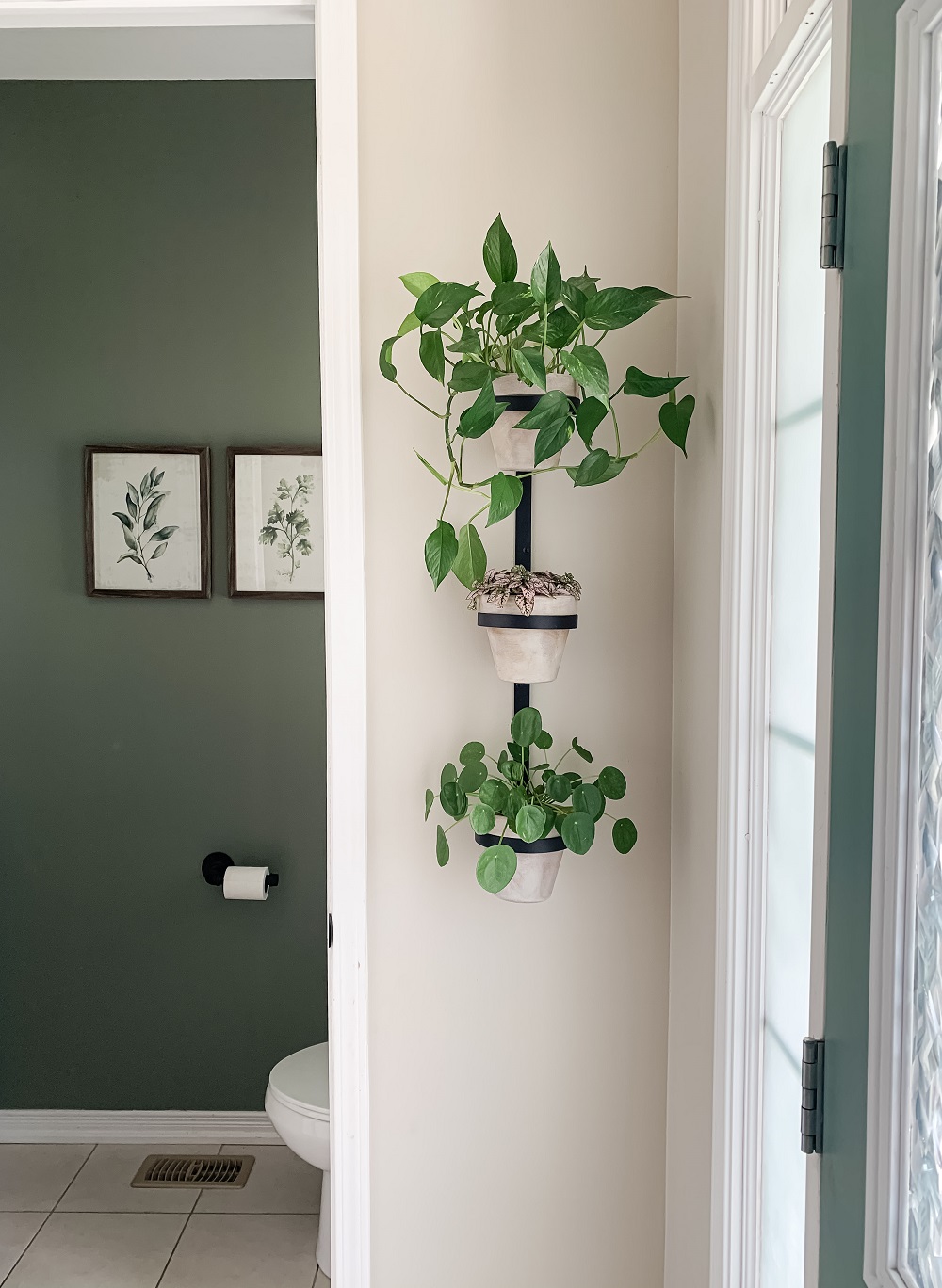 vertical plant wall made from a black 3 ring plant pot holder hanging on wall