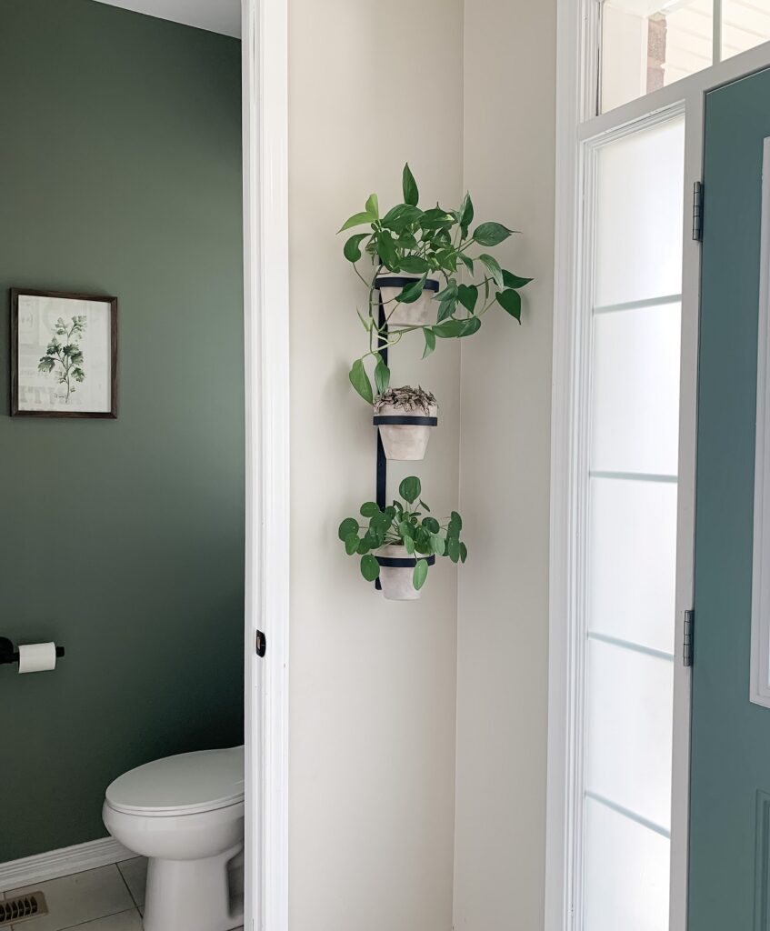 vertical plant wall made from black 3 ring plant pot holder hanging on wall viewed from the side